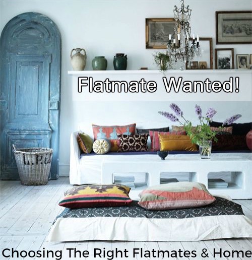 flatmate 2